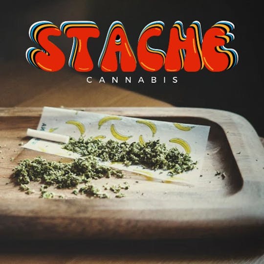 Stache - Citrus Sunset Premium Pre-Ground Flower 14g (H) - 1