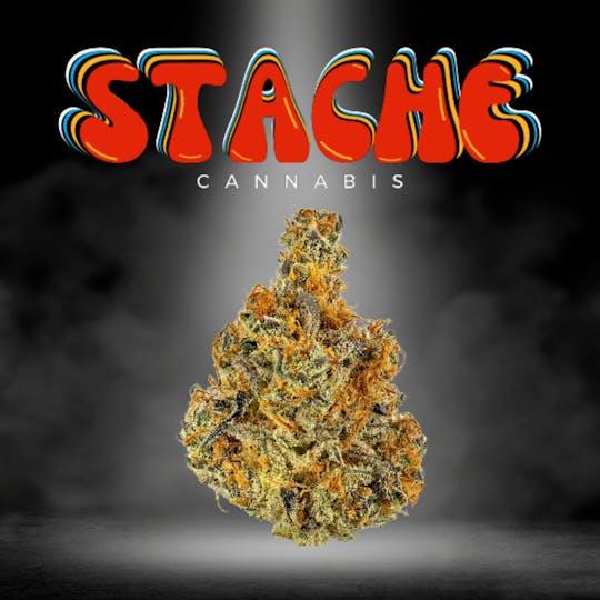 Stache - Tangerine Haze 10g (S/H) - 1
