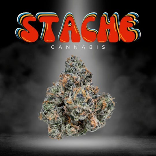 Stache - Fruity Pebbles 10g (I/H) - 1