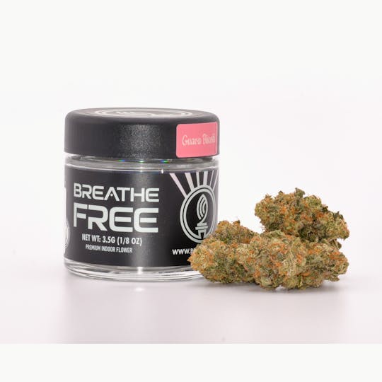 Breathe Free - Guava Biscotti | 3.5g - 1