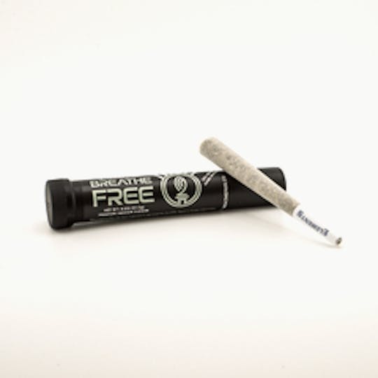 Breathe Free - Sherb Cream Pie | 1g Pre-Roll - 1