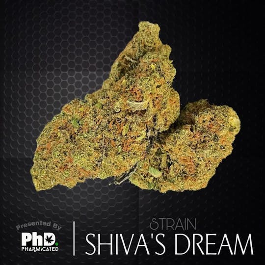 Pharmicated - PhD Indoor Flower - Shiva's Dream (I) - 1