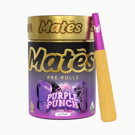 Muha Meds - Purple Punch Mates Pre-Rolls - 1