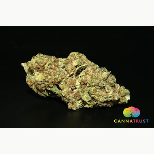 Trusty Transportations - Dozizoz Ounce/28.3Grams(26%THC, Indica) - 1