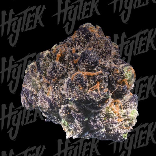 Hytek - HYTEK | GASTRO POP | BULK DELI FLOWER - 1