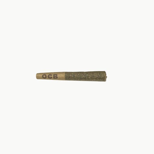 Indico - 0.5g Apple Fritter Pre- Roll - 1