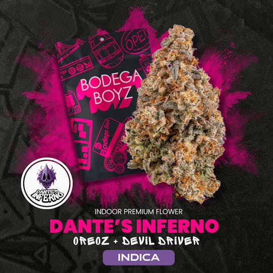 Bodega Boyz - Bodega Boyz Dantes Inferno | OK - 1