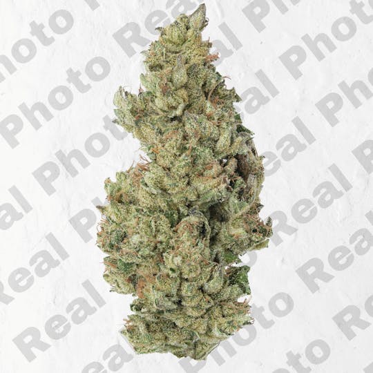 Frostiez - Richy Rich - Topshelf Indoor - New Drop - Hybrid - 1