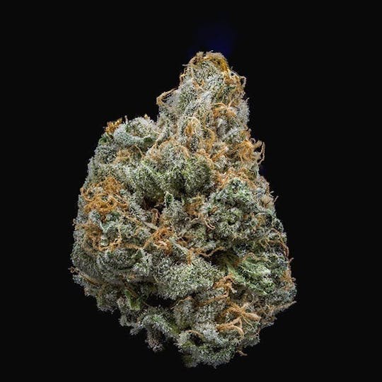 East Coast Cannabis - Violet Vixen - 1