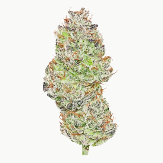 Enlighten - Banana Punch #2 Deli Flower - 1
