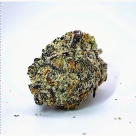 Tree House Cannabis - Tree House -Live Cured Black Label: Black Oreoz - 1