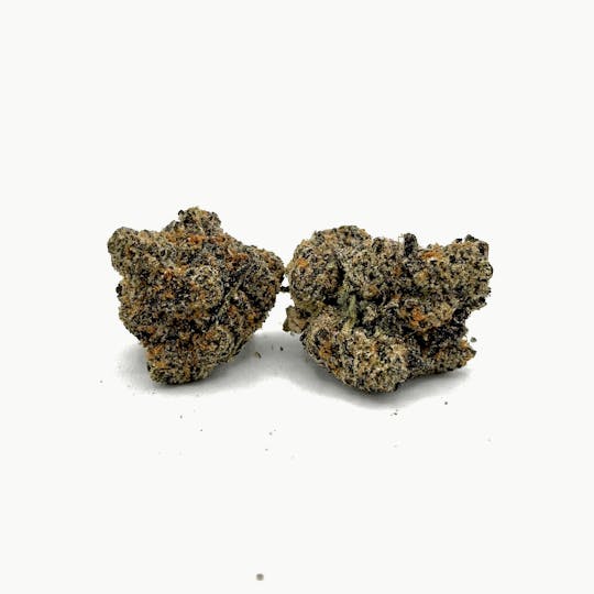 Tree House Cannabis - Tree House - Gelato #41 - 1