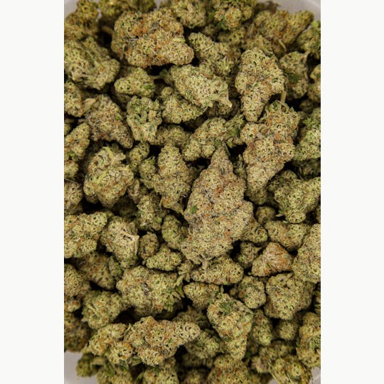 Shatter House - Dante's Infernos Bulk Flower 28% - 1