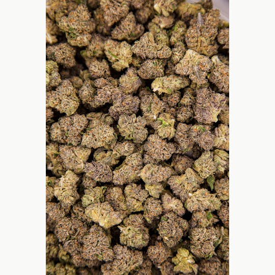 Shatter House - Lemon Cherry Gelato Bulk Flower - 1
