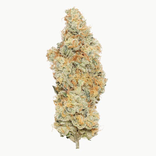 Enlighten - Grape Gas Deli Flower - 1
