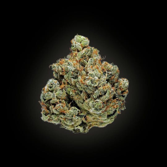 Auraz - Caleta Flower | Jet Feul - 1