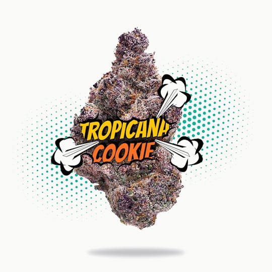 Frostiez - Tropicana Cookiez - Topshelf Indoor - New Drop - Sativa - 1