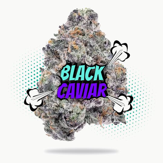 Frostiez - Black Caviar (3.5g - 1/8oz) - Topshelf Indoor - Hybrid - 1
