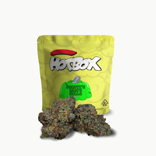 HOTBOX™ - LIMITED RUN - HOTBOX | Scotty's Mom's Gello Indica 1gr Indoor Flower - 1