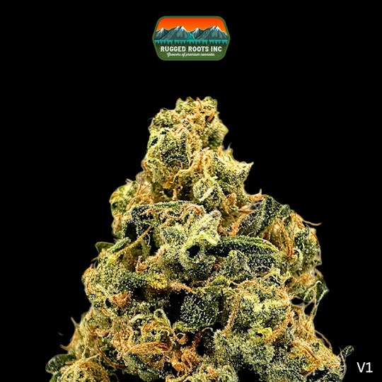 Rugged Roots - Rugged Roots | Gas Guzzler 3.5g - 1