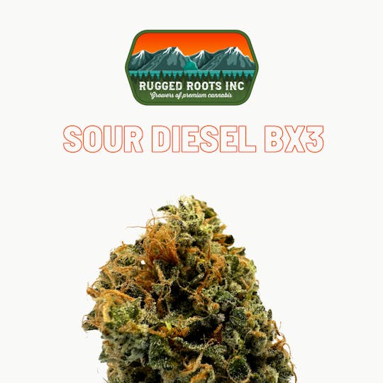 Rugged Roots - Rugged Roots | Sour Diesel Bx3 3.5g - 1