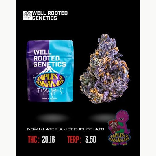 Well Rooted Genetics - Aapples & Bananay's - 1
