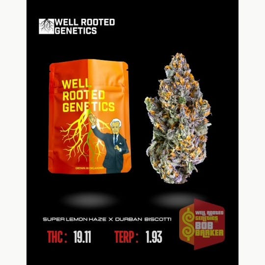 Well Rooted Genetics - Bob Barker - 1