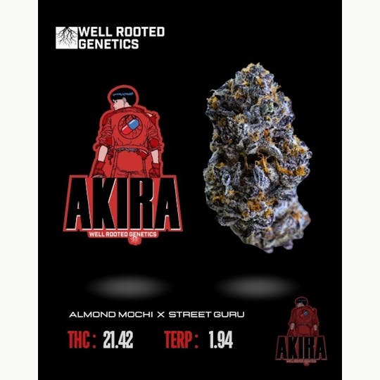 Well Rooted Genetics - Akira - 1