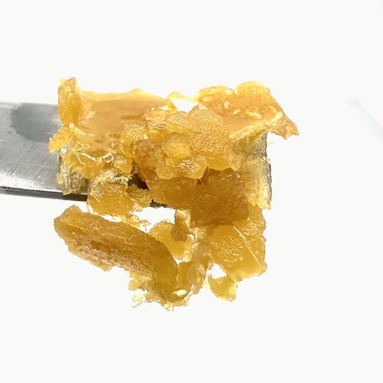 Northeast Alliance - Sour Jack Shatter - 1