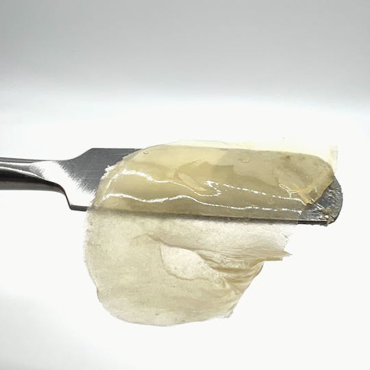 Northeast Alliance - Knockout Shatter - 1