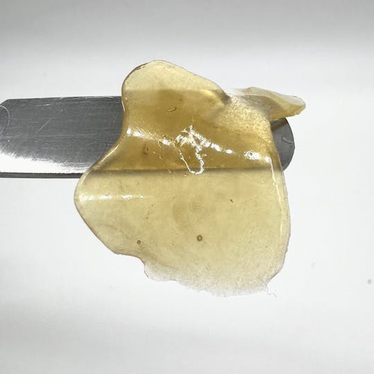 Northeast Alliance - GMO Shatter - 1