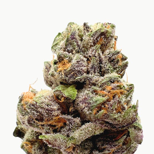 Baked Chicken Farm - BCF - Caribbean Cookies Flower - 1