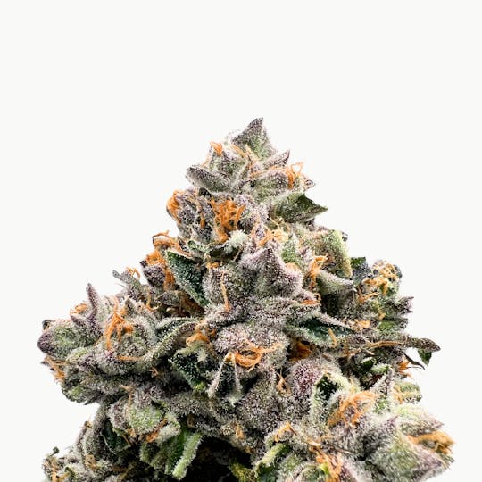 Baked Chicken Farm - BCF - Heir Heads - 7g Can - 1