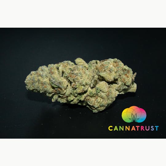 Trusty Transportations - Jealousy 1/2Ounce/14Grams(28%THC, Hybrid) - 1