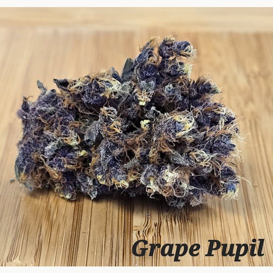 ITF - Grape Pupil Small Buds - 1