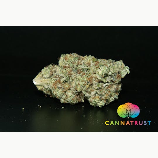 Trusty Transportations - Slurricane 1/2 Ounce/14Grams(28%THC, Indica) - 1