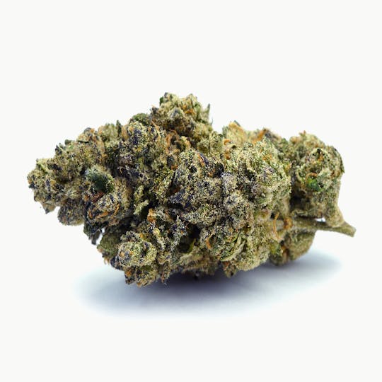 High Tide Organics - Donatella | Indoor 3.5g - 1