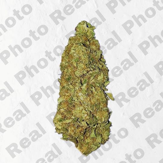 Frostiez - BLUE LOBSTER - NEW DROP - PREMIUM FLOWER - HYBRID - 1