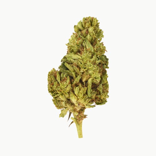 Smoakland - Black - Indigo Diamond (H) - 14g - 1
