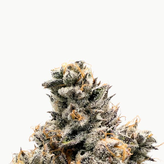 Baked Chicken Farm - BCF - L.A. Runtz - 3.5g Can - 1