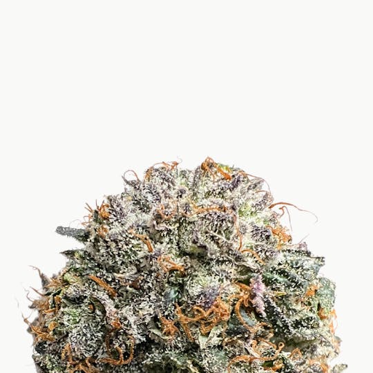 Baked Chicken Farm - BCF - Nimbus Snacks - 3.5g Can - 1