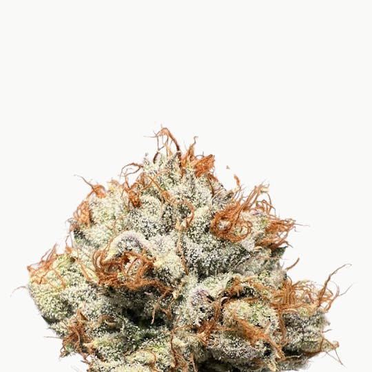 Baked Chicken Farm - BCF - OG Kush - 7g Can - 1