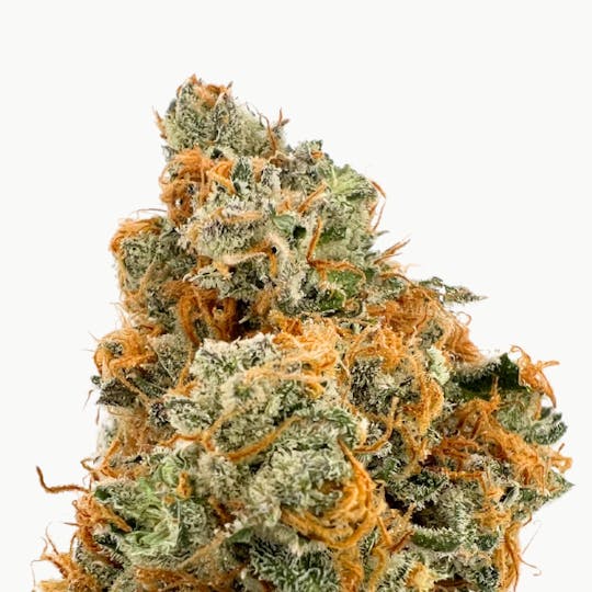 Baked Chicken Farm - BCF - Aggie Up - 7g Can - 1
