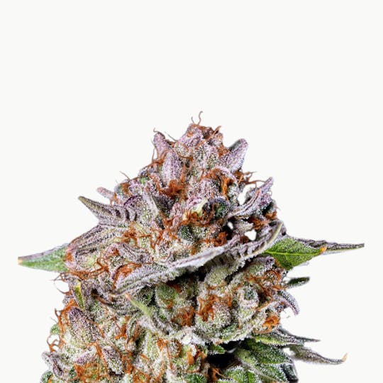 Baked Chicken Farm - BCF - Ghost Vapor OG - 3.5g Can - 1