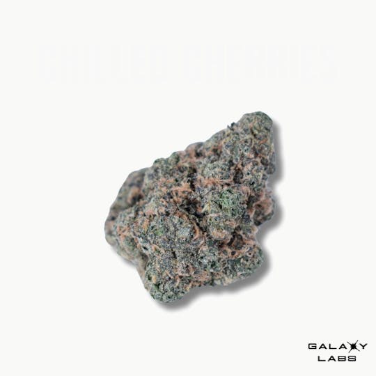 Galaxy Labs - Chilled Cherries - Galaxy Labs Flower - 1