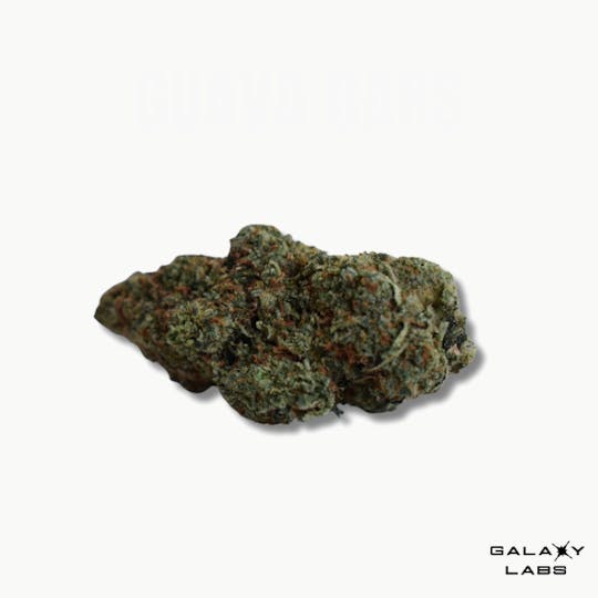 Galaxy Labs - Guava Bars - 1g Flower - 1