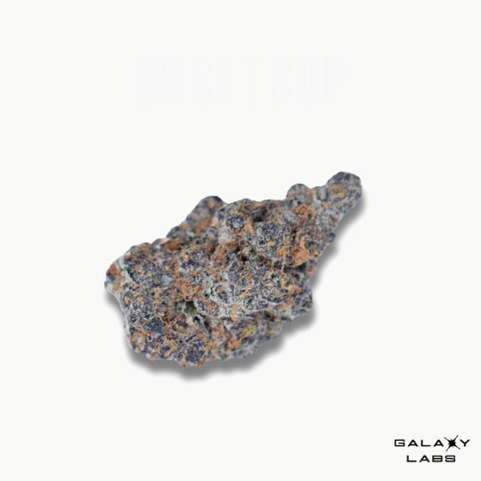 Galaxy Labs - Dosi Trop - 14g Flower - 1