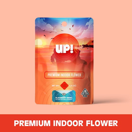 UP! - Blackberry Diesel (Sativa) Premium Indoor 14g - 1