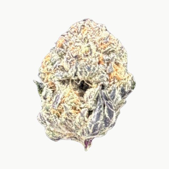 LightSky Farms - Grape Pie MAC x Wilson - 1