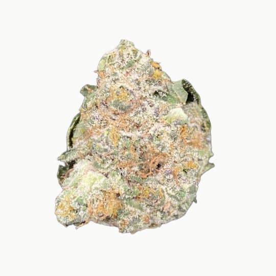 LightSky Farms - Point Break - 1